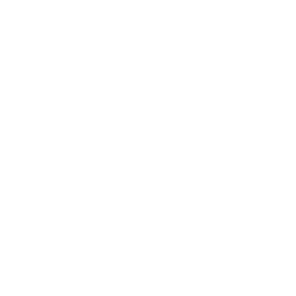 2LOGO NAX