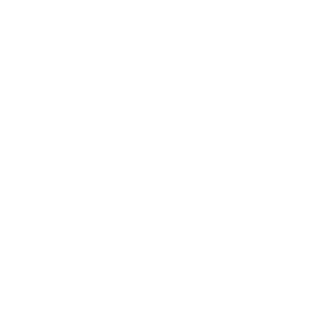 2LOGO PRECISAGRO